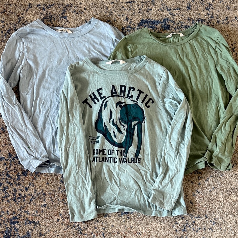 Kids Arctic Themed Long Sleeve Shirts - Blue and Green